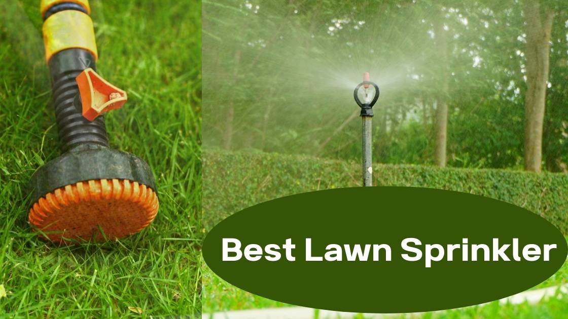 10 Best Lawn Sprinkler 2022 | Reviews & Buying Guide