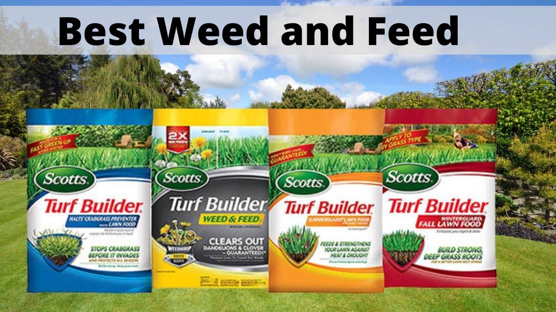 10 Best Weed and Feed (2022) Ultimate Expert Reviews & Buying Guide