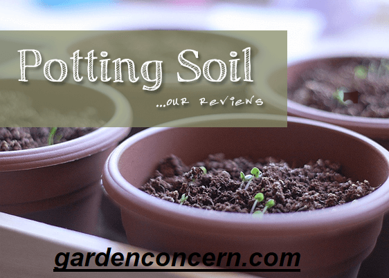 Eight best potting soil brands