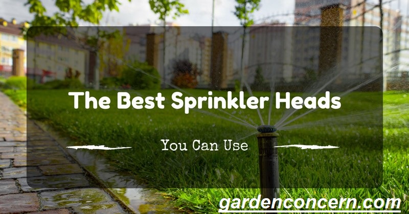 Best Sprinkler Heads