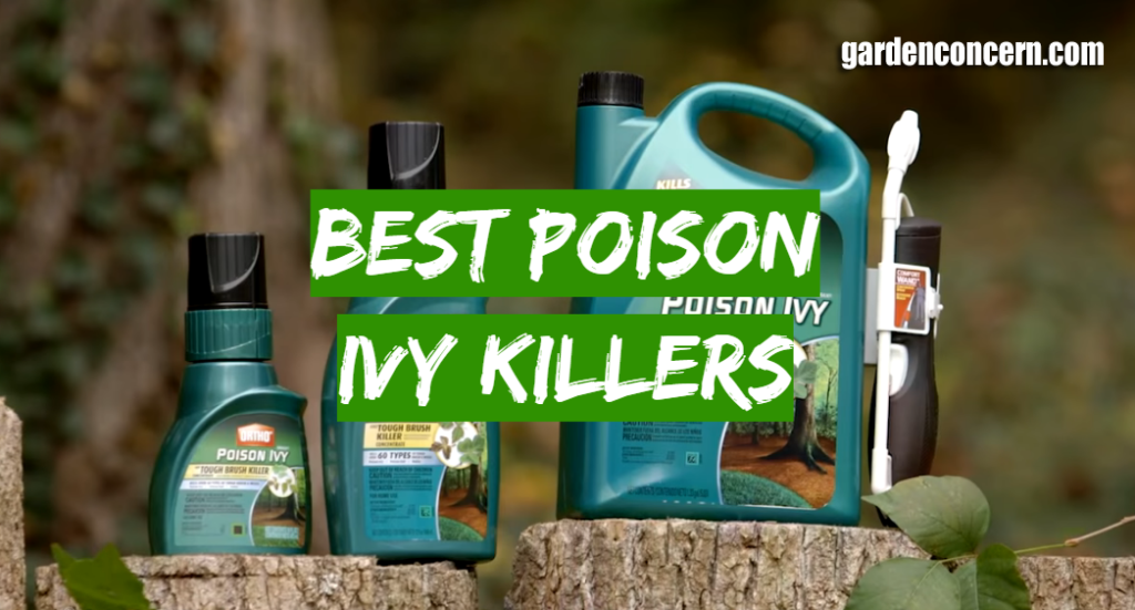Best Poison Ivy Killer