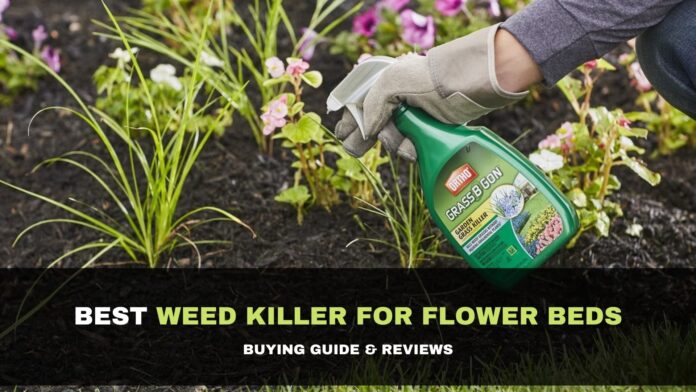 best weed killer for flower beds