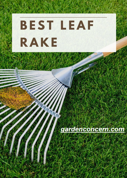 Best leaf rake