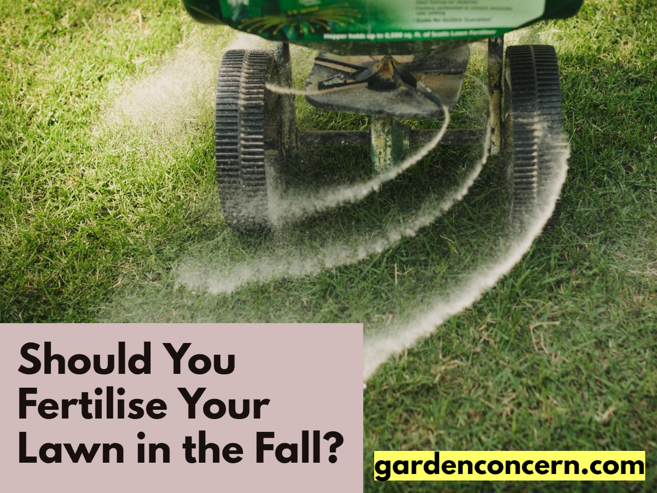 Should You Fertilise Your Lawn in the Fall?