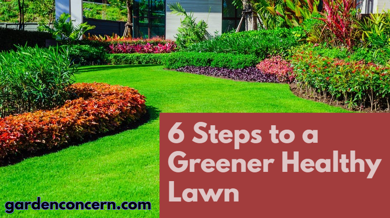Steps to a Greener Healthy Lawn
