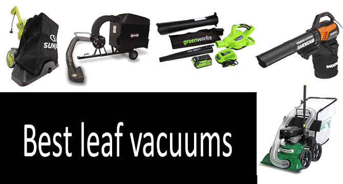 Best Leaf Vacuum