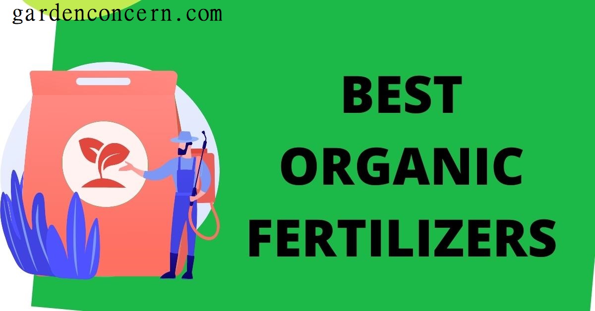 best organic fertilizer