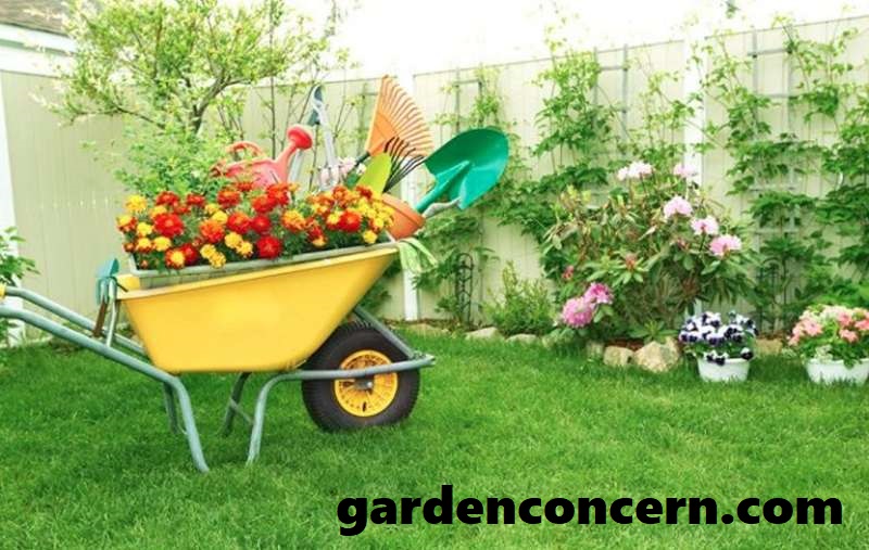 ways to keep your garden healthy