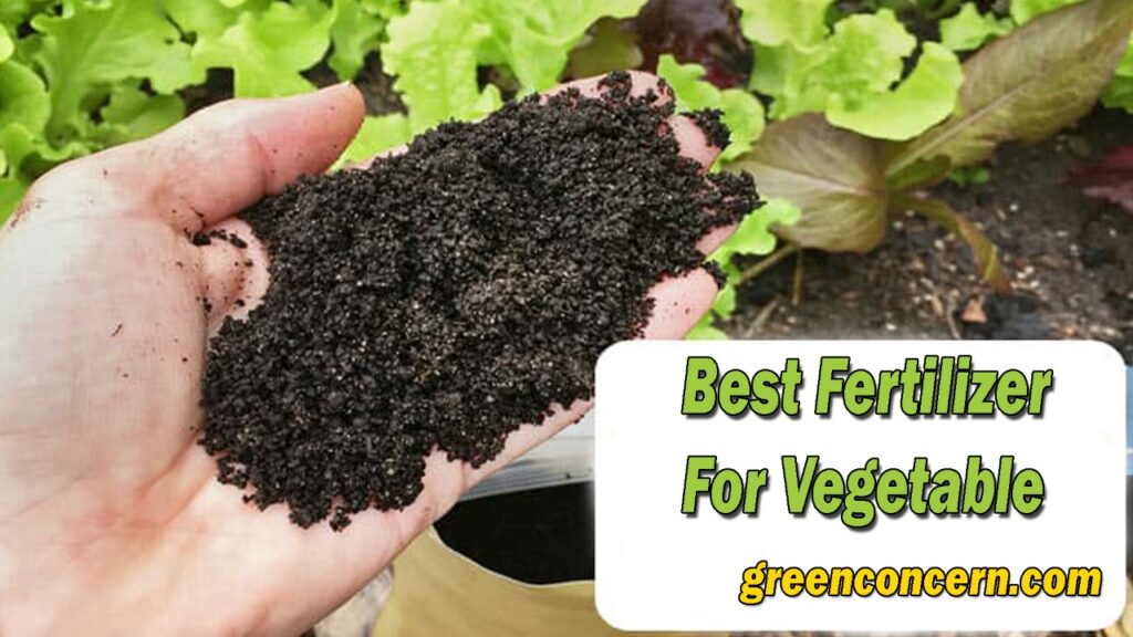 Best fertilizer for Vegetable
