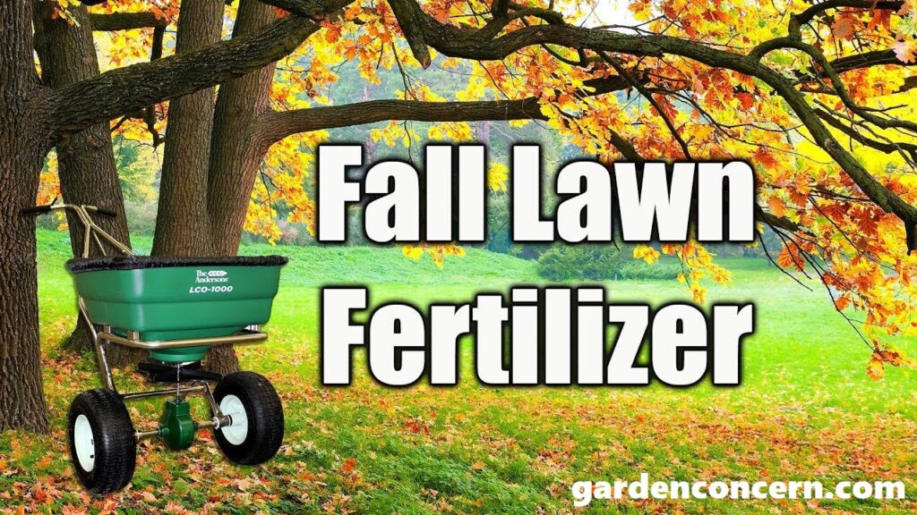 What is the best fall fertiliser?