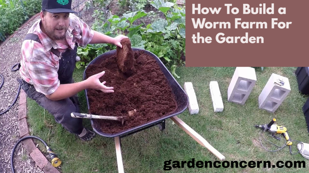 How To Build a Worm Farm For the Garden