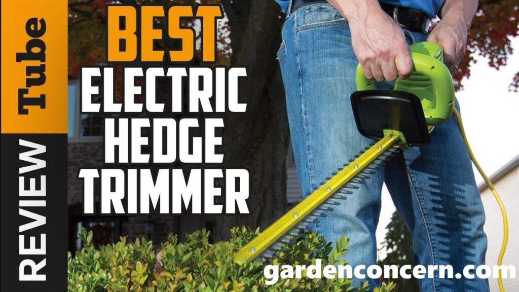 Best Electric Hedge Trimmer