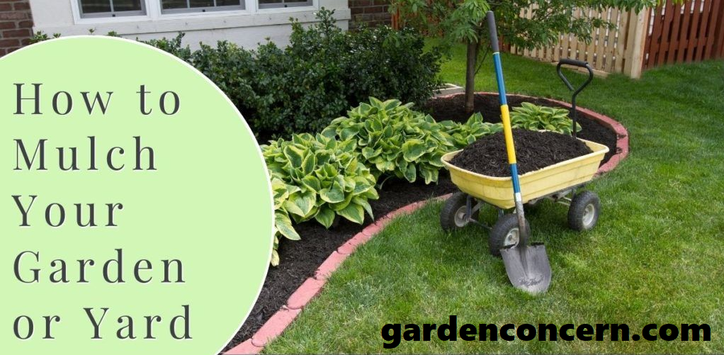 How to Choose the Best Mulch for Your Garden
