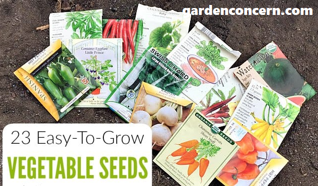The Best Places to Get Free Vegetable Seeds For Your Garden