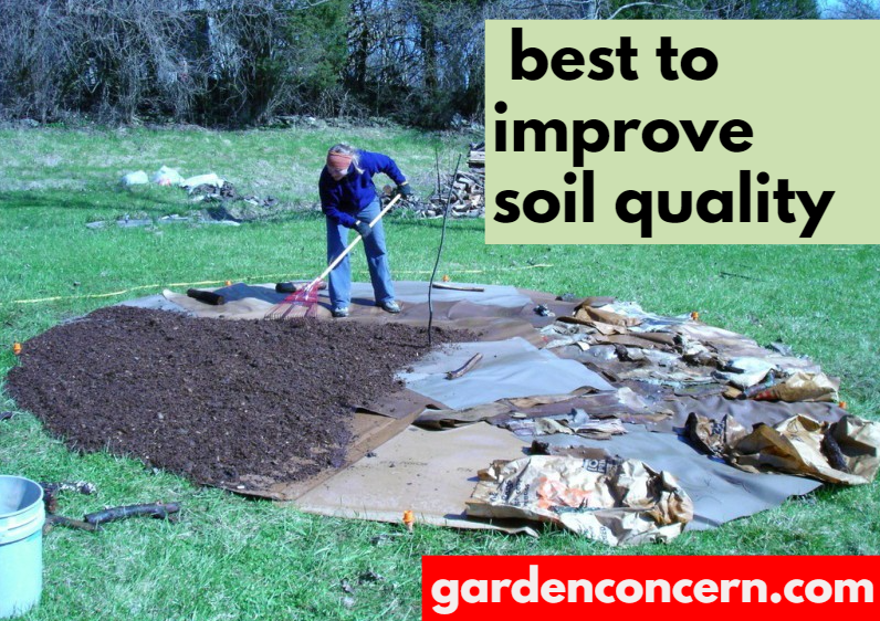  Yard waste – best to improve soil quality 
