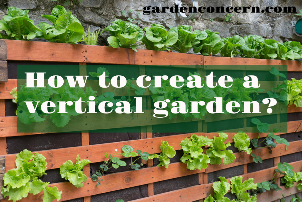 How to create a vertical garden?