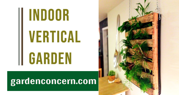 Create an indoor vertical garden