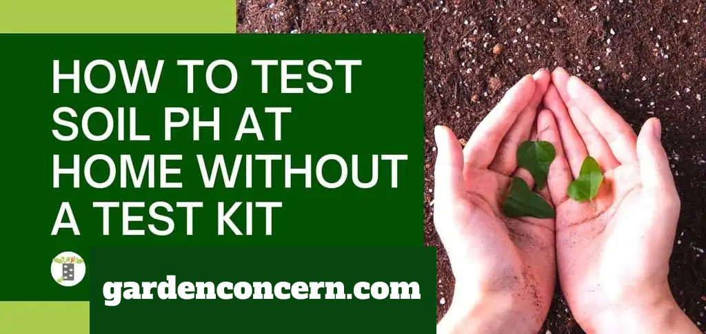 the easiest way to test soil ph at home