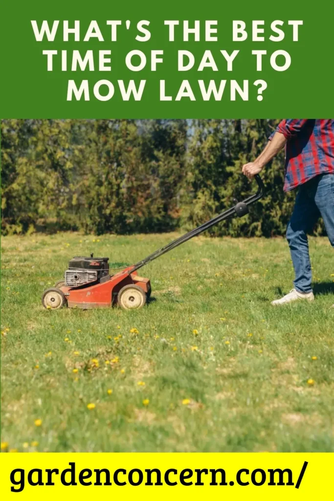 What is the Best Time of Day to Mow the Lawn?