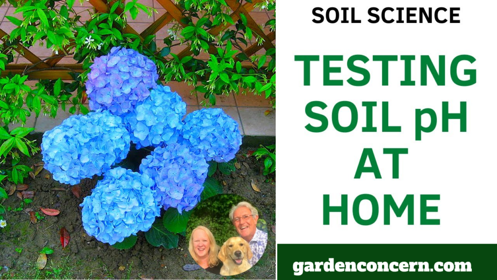The easiest way to test soil ph at home