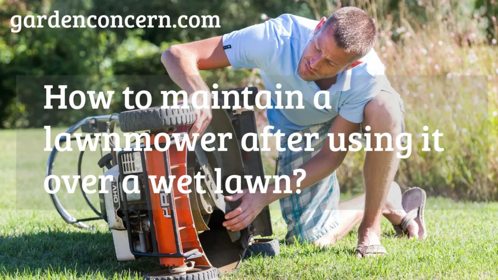 How to maintain a lawnmower after using it over a wet lawn?