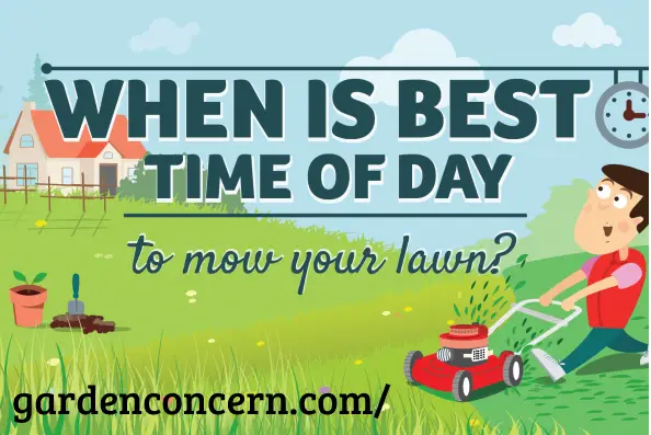 What is the Best Time of Day to Mow the Lawn?