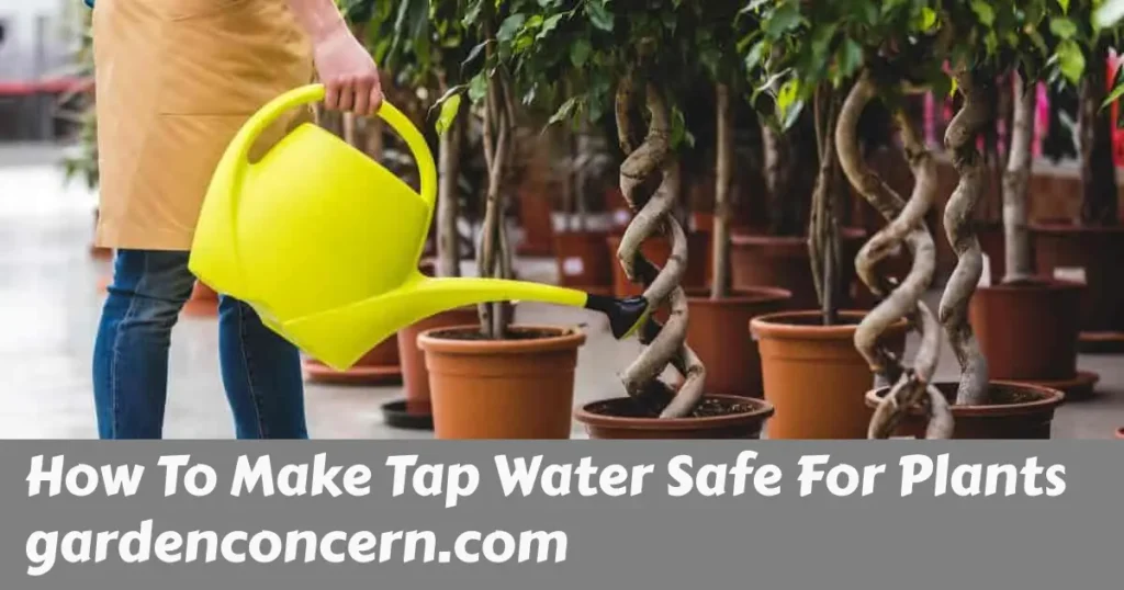 How To Make Tap Water Safe For Plants (Tips)