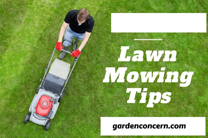 Lawn Mowing Tips Every Homeowner Should Know