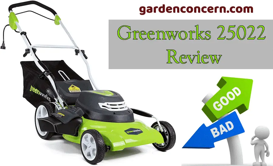 GreenWorks 25022 review